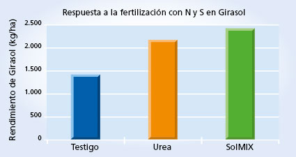 gráfico de rendimiento