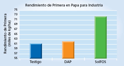 gráfico de rendimiento