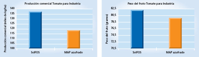 gráficos de rendimiento