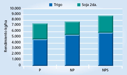 gráfico de rendimiento