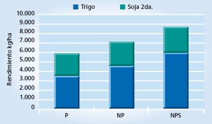 gráfico de rendimiento
