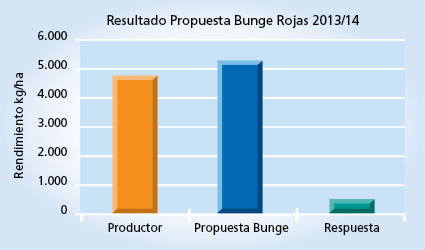 gráfico de rendimiento