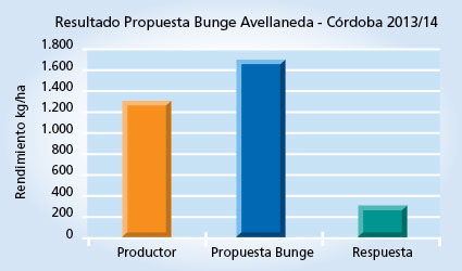 gráfico de rendimiento
