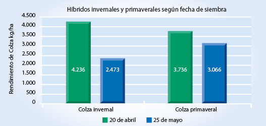 Gráfico