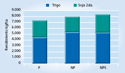 gráfico de rendimiento