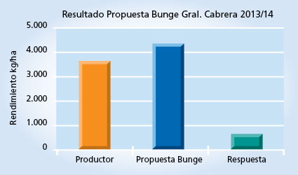 gráfico de rendimiento