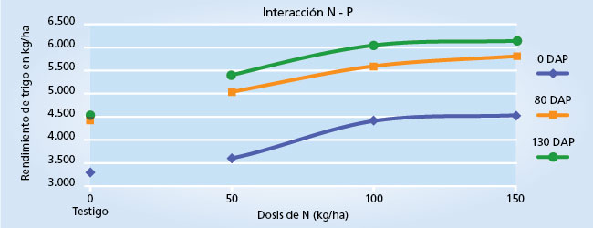 Gráfico de rendimientos