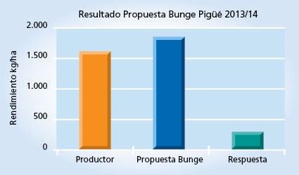 gráfico de rendimiento
