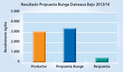 gráfico de rendimiento