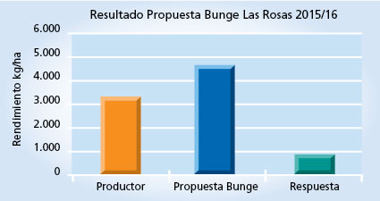 grafico de rendimiento