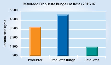 grafico de rendimiento