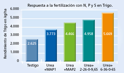 gráfico de rendimiento