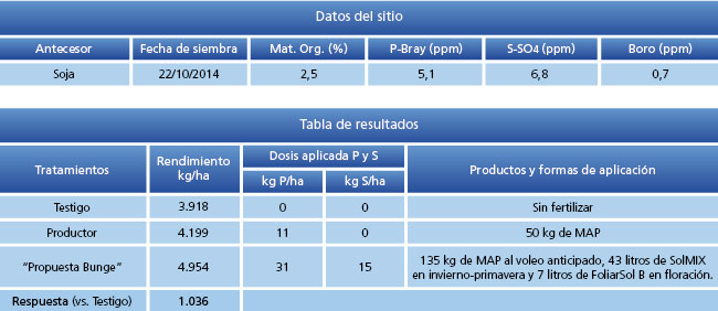 Tabla 1