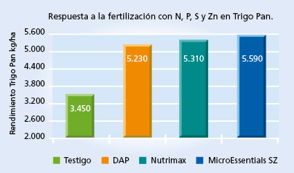 gráfico de rendimiento