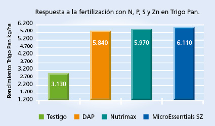 gráfico de rendimiento