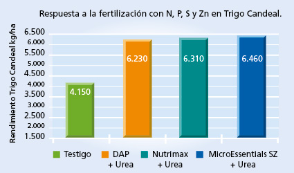 gráfico de rendimiento