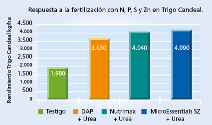 gráfico de rendimiento