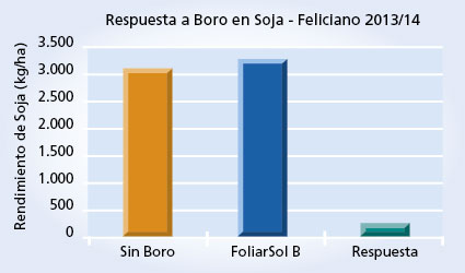 Gráfico 1