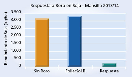 Gráfico 1
