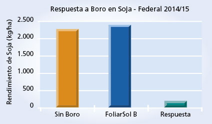 Gráfico 1