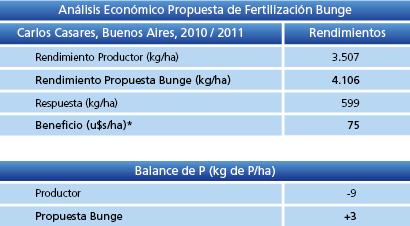 Análisis Económico sobre la Propuesta Bunge