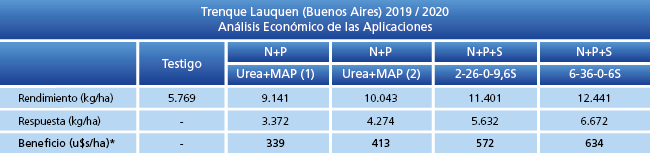 Análisis Económico