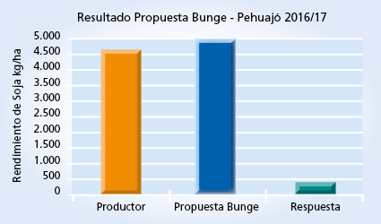Gráfico 1