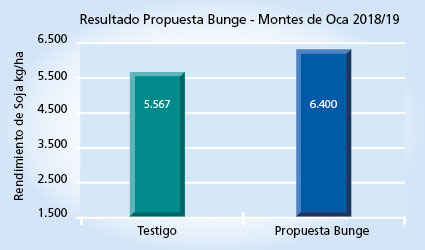 Gráfico 1