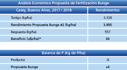 Análisis Económico