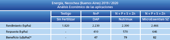 Análisis Económico